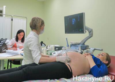 В Шебекинской больнице Белгородской области умерли несколько беременных с детьми