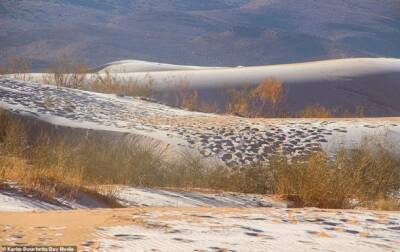 На пески пустыни Сахары выпал снег - korrespondent.net - Украина - Алжир