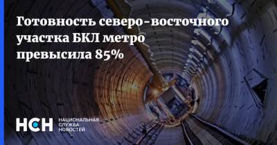 Андрей Бочкарев - Готовность северо-восточного участка БКЛ метро превысила 85% - nsn.fm - Москва - Строительство