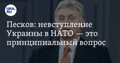 Песков: невступление Украины в НАТО — это принципиальный вопрос