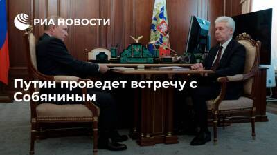 Путин в четверг встретится с Собяниным и проведет международный телефонный разговор