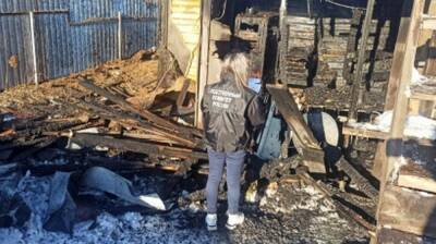 Обгоревшее тело 2-летнего ребёнка нашли в доме под Воронежем