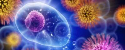 Cell: магний активизирует работу иммунной системы