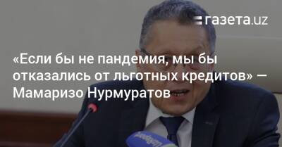 «Если бы не пандемия, мы бы отказались от льготных кредитов» — Мамаризо Нурмуратов