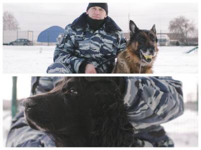 «Можно валяться кверху пузом»: чем занимаются служебные собаки Новосибирска на пенсии