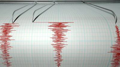 На юге Италии произошло землетрясение, эвакуированы школы и учреждения