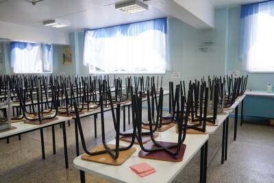В Воронеже из-за ковида 6 классов в 5 школах ушли на дистант