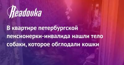 В квартире петербургской пенсионерки-инвалида нашли тело собаки, которое обглодали кошки