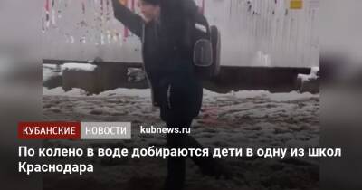 По колено в воде добираются дети в одну из школ Краснодара