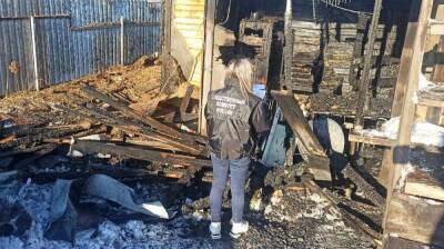 СК показал видео с места гибели 2-летнего малыша на пожаре под Воронежем