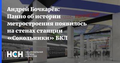 Андрей Бочкарев - Андрей Бочкарёв: Панно об истории метростроения появилось на стенах станции «Сокольники» БКЛ метро - nsn.fm - Москва