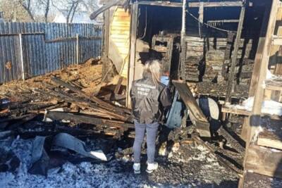 Под Воронежем в Рамонском районе сгорел двухлетний малыш