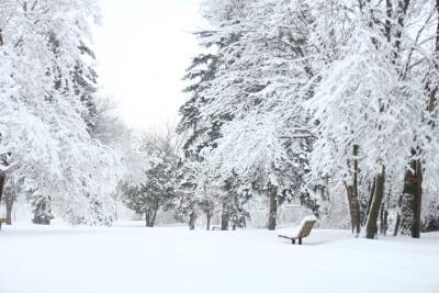 В большинстве районов Ленобласти 21 января пройдет небольшой снег