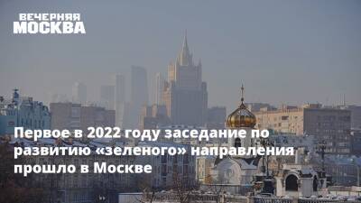 Первое в 2022 году заседание по развитию «зеленого» направления прошло в Москве