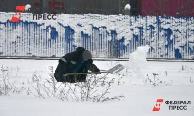 Зачем бюджетники Петербурга вышли на уборку снега: ответ властей