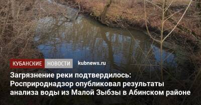 Загрязнение реки подтвердилось: Росприроднадзор опубликовал результаты анализа воды из Малой Зыбзы в Абинском районе