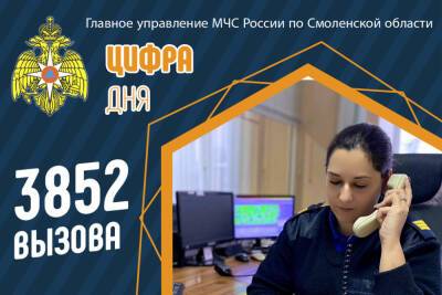 3852 вызова с начала года обработали диспетчеры экстренных служб в Смоленской области