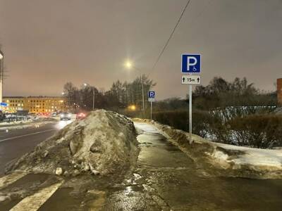 «Без шансов»: парковки для инвалидов в Таврическом переулке недоступны из-за завалов снега