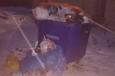 Жители Стругокрасненского района жалуются на несвоевременный вывоз мусора