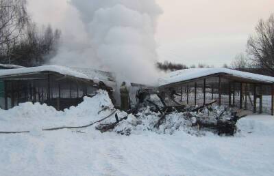Уток спасли, а 35 индюков погибли в пожаре в Смоленской области