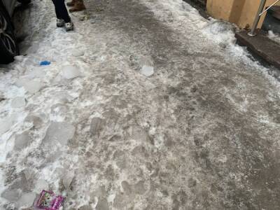 Петербургские коммунальщики решили избавиться от снега, сбросив его в реку Мойку