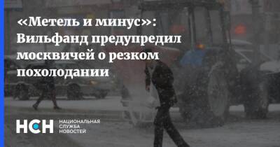 «Метель и минус»: Вильфанд предупредил москвичей о резком похолодании
