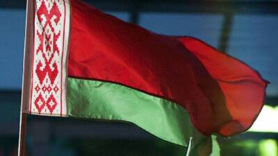 Референдум по Конституции Беларуси назначен на 27 февраля
