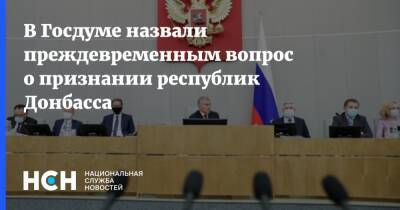 В Госдуме назвали преждевременным вопрос о признании республик Донбасса