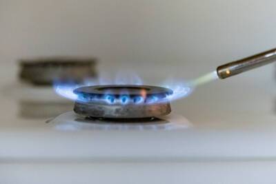 Жители посёлка Родина Псковского района смогут провести газ в частные дома