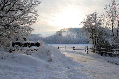 Туляков ожидает снежная погода 21 января