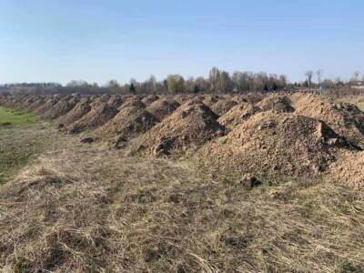 В ЛНР планируют вскрыть могилы жертв конфликта в Донбассе, для поиска без вести пропавших