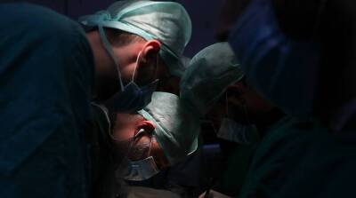 Американские врачи впервые в мире пересадили человеку две почки свиньи