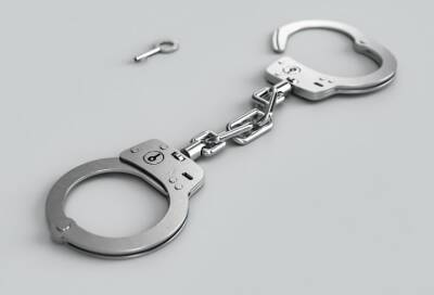 В Гатчине в ходе задержания пьяный водитель избил полицейского