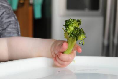 Детское вегетарианство: опасен ли отказ от мяса для ребенка и что стоит предусмотреть