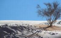 В Сахаре выпал снег: в чем причина редкого явления