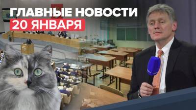 Новости дня — 20 января: угрозы «минирования» в российских школах, обязательный учёт домашних животных