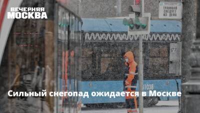Сильный снегопад ожидается в Москве