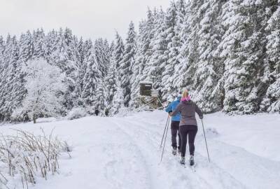 «Лыжные стрелы» полетят до снежных трасс Ленобласти с 23 января, покатаются только защищенные от ковида