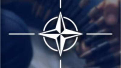 Правительство Молдовы одобрило план сотрудничества с НАТО на ближайшие два года