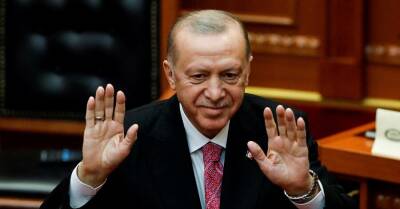 Турция предложила устроить встречу Зеленского и Путина "тет-а-тет"