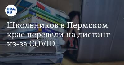 Школьников в Пермском крае перевели на дистант из-за COVID