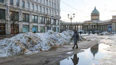 Власти Петербурга объяснили проблемы с уборкой снега нехваткой 10 тысяч дворников