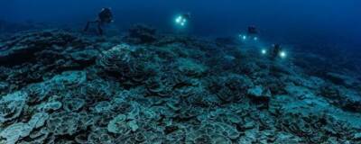 У берегов Таити глубоко в Тихом океане обнаружен огромный коралловый риф