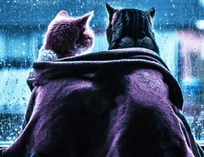 Нет денег - прыгайте и обнимайте котов: как в Европе справляются с нехваткой средств, на зимнее отопление