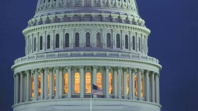 Американский сенатор Шахин представила законопроект о ленд-лизе для Украины