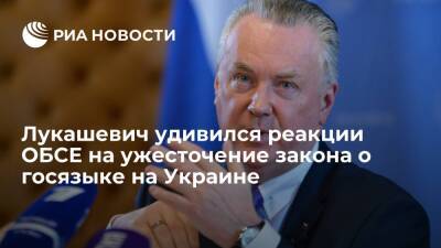Лукашевич удивился отсутствием реакции ОБСЕ на ужесточение закона о госязыке на Украине