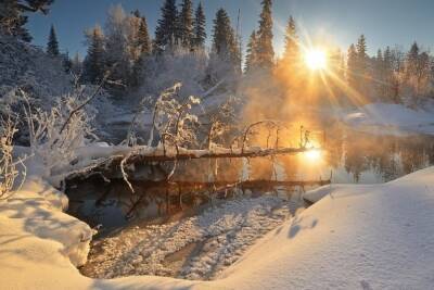 В Архангельской области 21 января будет тепло и снежно