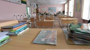 Карантин в школах Вологды из-за ковида, маркировка собак и кошек, ухудшение погоды в Вологодской области: обзор новостей дня