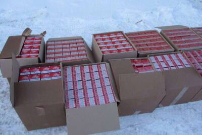 Поддельные сигареты на 5 миллионов рублей обнаружили на складах в Петрозаводске