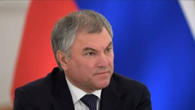 Володин заявил о необходимости обеспечить безопасность россиян в ДНР и ЛНР